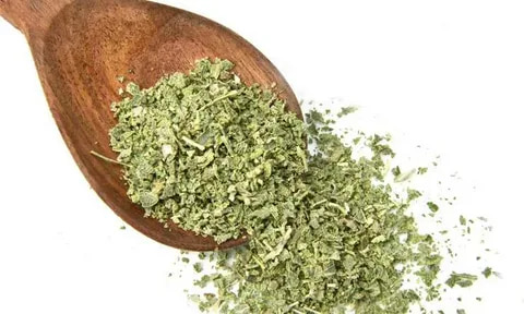 آویشن سیاه با رنگ برگ تیره و خاص گیاهی